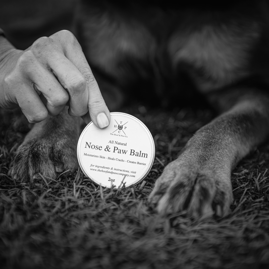 All Natural Nose & Paw Balm - for Dogs - 2oz