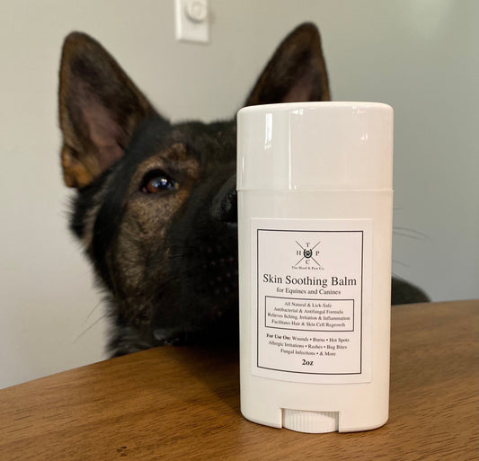 All Natural Skin Soothing Balm - For Dogs & Horses - 2oz